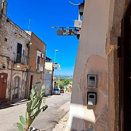 Anfiteatro Vlll Couette-café Canosa di Puglia